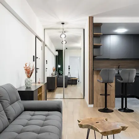 Apartament The Velvet Grey *